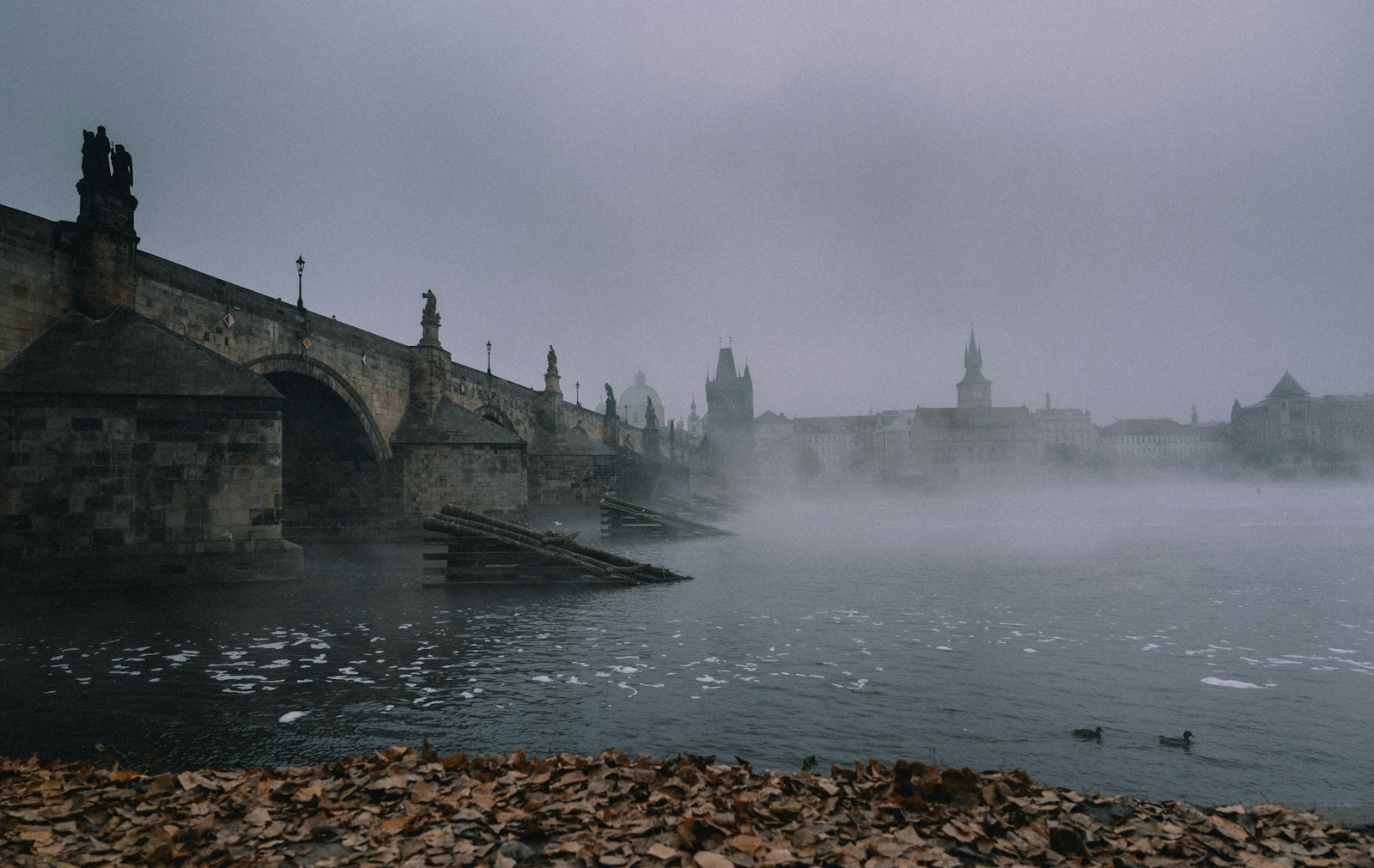 Český Krumlov Day-Trip